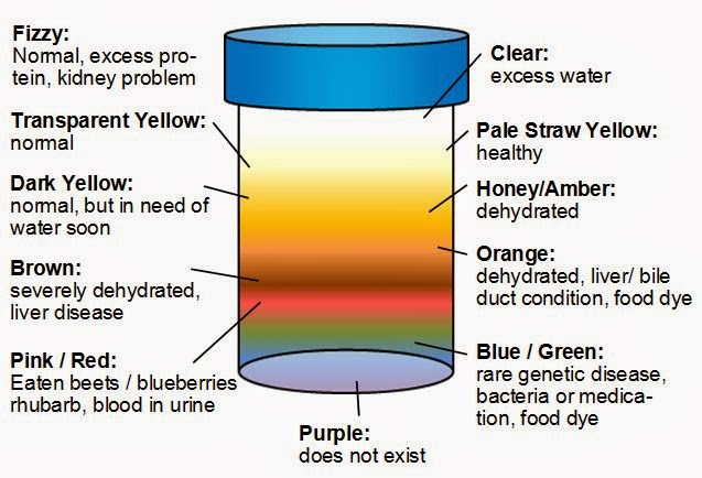 Kidney Failure Urine Color Chart